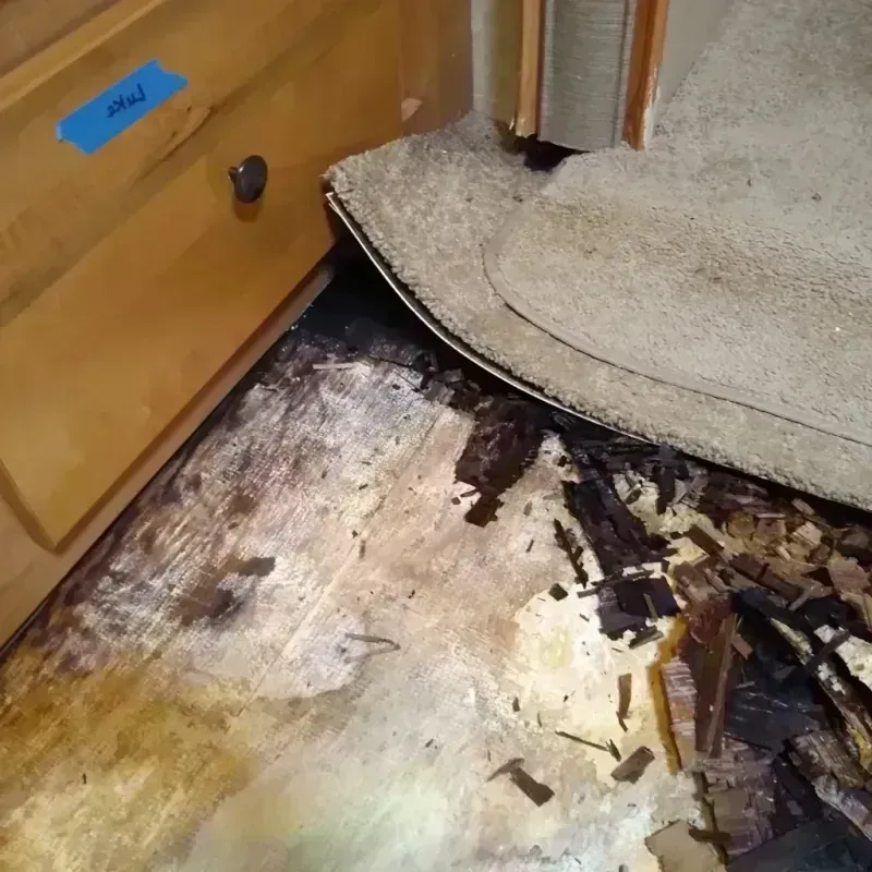 Wood Floor Water Damage in Riverside, PA